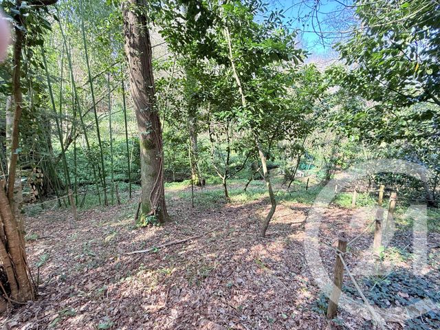 maison à vendre - 7 pièces - 171.0 m2 - SAUTRON - 44 - PAYS-DE-LOIRE - Century 21 A.B.E.