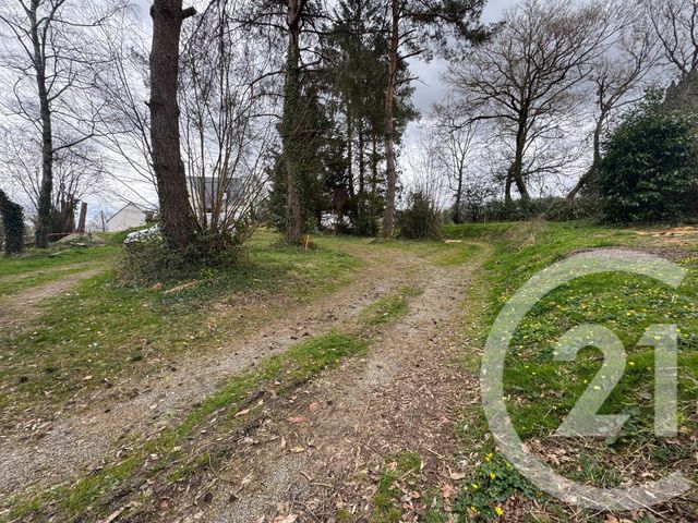 terrain - TREILLIERES - 44