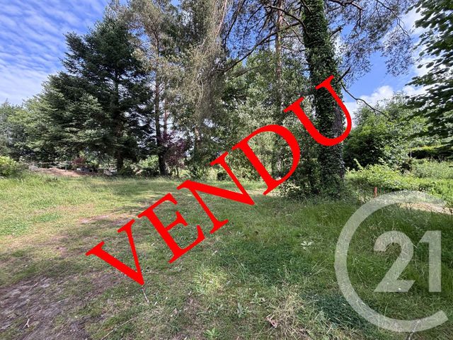 terrain - TREILLIERES - 44